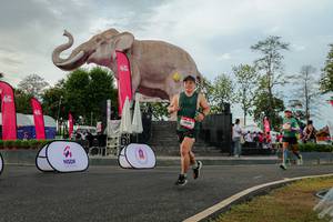 BIB: 
                            <button type="button" onclick="openModal(26528490)" class="btn btn-primary btn-sm float-right btn-popup" data-toggle="modal" data-target=".modal-high-quality">
                        <i class="fas fa-shopping-cart"></i> Add to Cart
                    </button>
                                            <button type="button" onclick="isThisMe(26528490, true)" class="btn btn-success btn-sm float-right btn-popup btn-isme hidden" data-toggle="tooltip" data-placement="bottom" title="นี่คือรูปของคุณใช่ไหม คลิกที่นี่เพื่อเอาเข้าอัลบั้ม">
                        <i class="fas fa-plus"></i> Add to album
                    </button>
                    <button type="button" onclick="isThisMe(26528490, false)" class="btn btn-warning btn-sm float-right btn-popup btn-isnotme hidden">
                        <i class="fas fa-ban"></i> Remove from album
                    </button>